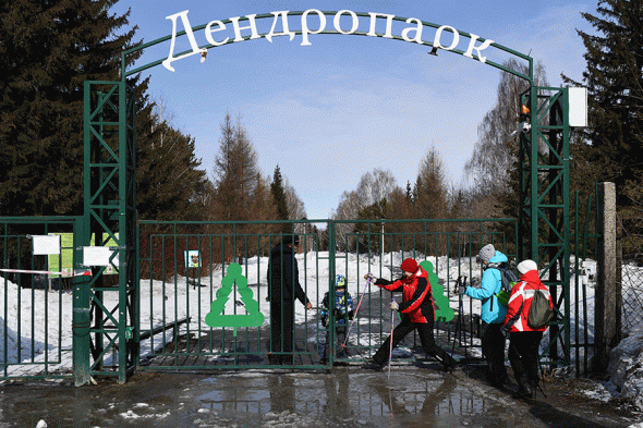 Как выглядят города России во время пандемии коронавируса. Фоторепортаж