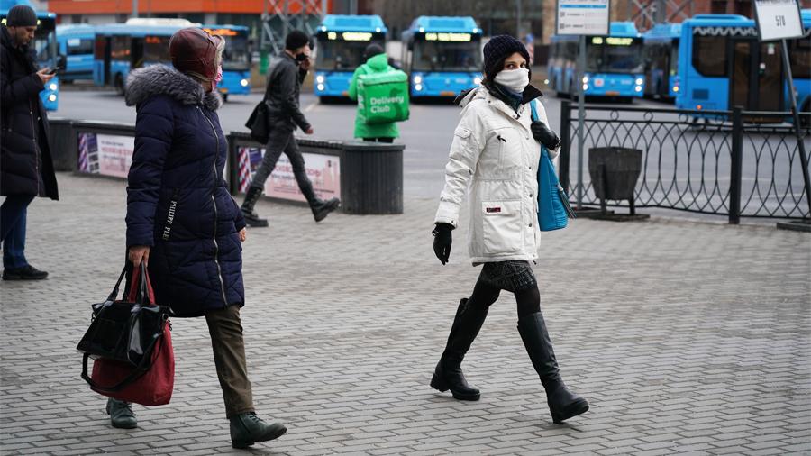 В Мосгордуме назвали возможную причину введения спецпропусков