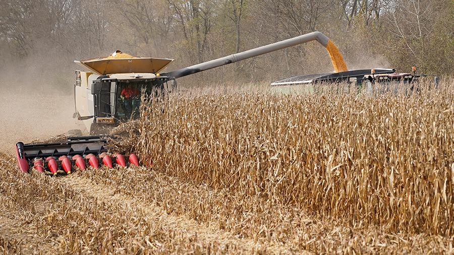 Власти США закупят продукцию у сельхозпроизводителей на $3 млрд