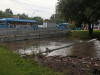 В Москве за день выпало более половины месячной нормы осадков