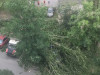 Власти отчитались о последствиях непогоды в Москве и области