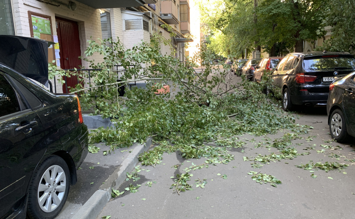 Власти отчитались о последствиях непогоды в Москве и области