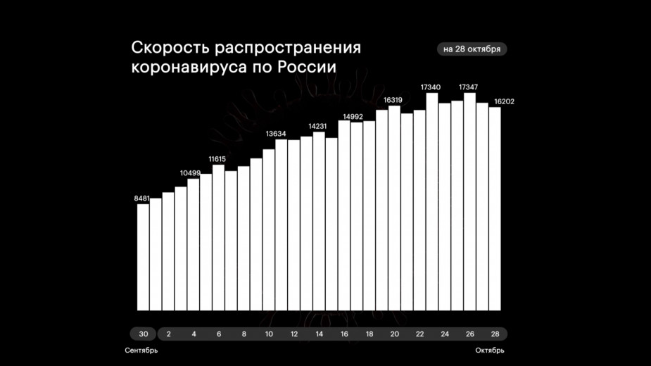 В России установлен второй за два дня рекорд по числу смертей от COVID-19