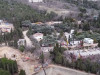 Кремль пообещал спросить у руководства Крыма о вырубке деревьев в Форосе