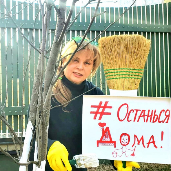 «Время орхидей»: как бизнес и политики в Instagram встречали локдаун