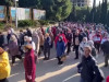 Кремль пообещал спросить у руководства Крыма о вырубке деревьев в Форосе