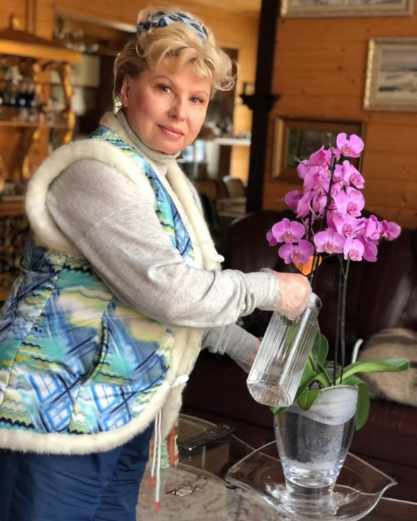 «Время орхидей»: как бизнес и политики в Instagram встречали локдаун