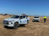 СК проверит информацию о гибели тюленей в Каспийском море