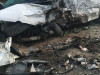 В ДТП с микроавтобусом в Курганской области погибли пять человек