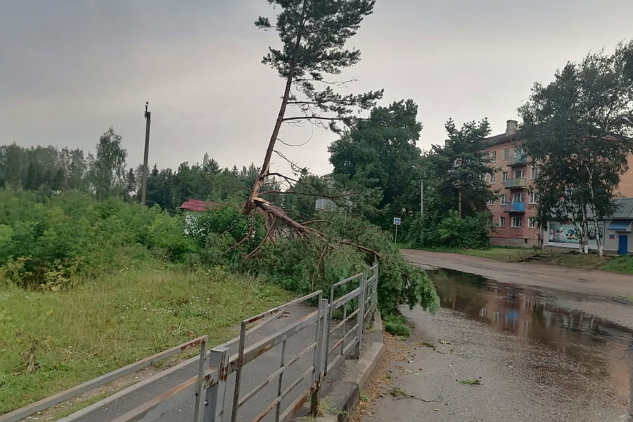 Три человека погибли в результате урагана в Тверской области