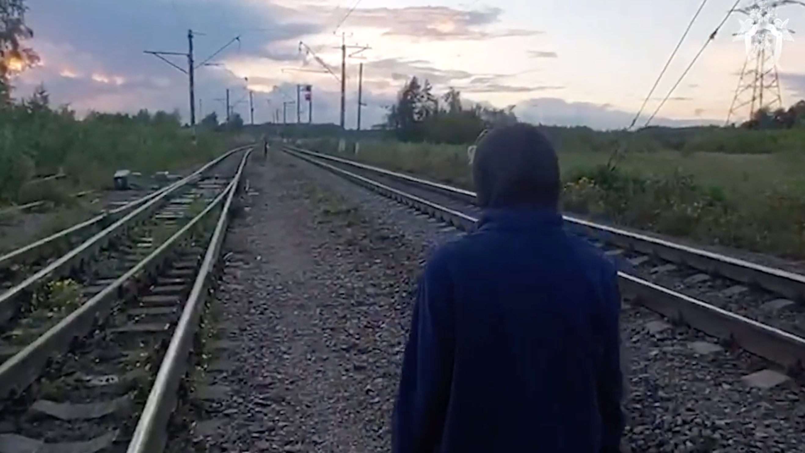 Следствие обвинило сатанистов в жертвоприношениях в лесах
