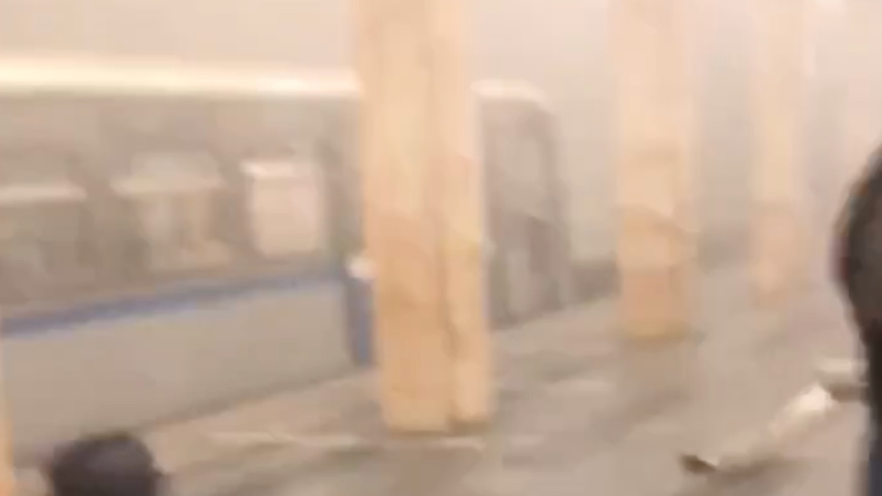 На юге красной ветки метро Москвы приостановили движение поездов
