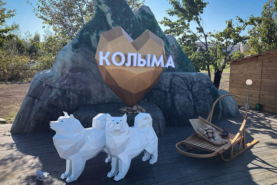 Роботы и маски: первый с начала пандемии ВЭФ. Фоторепортаж