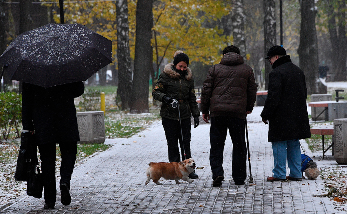 Первый снег прошел в Москве и Санкт-Петербурге