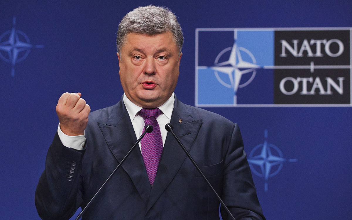В Киеве обвинили Порошенко в «происходящем на Украине» из-за курса в НАТО