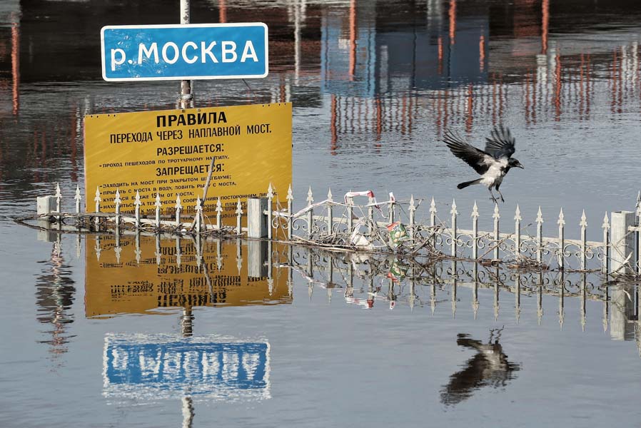 Паводок в Московской области. Фоторепортаж