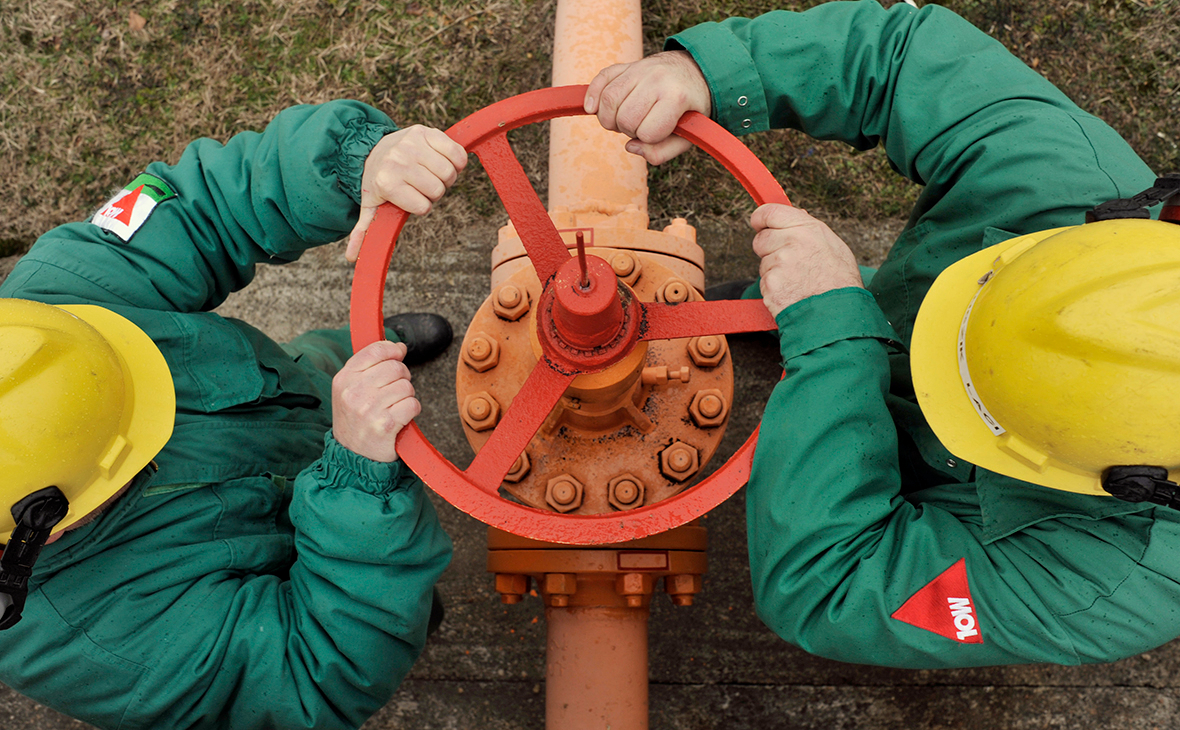 В МИД Украины назвали недружественной позицию Венгрии по российскому газу