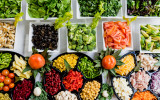 Шольц назвал проблемой отказ Штайнмайеру в посещении Киева