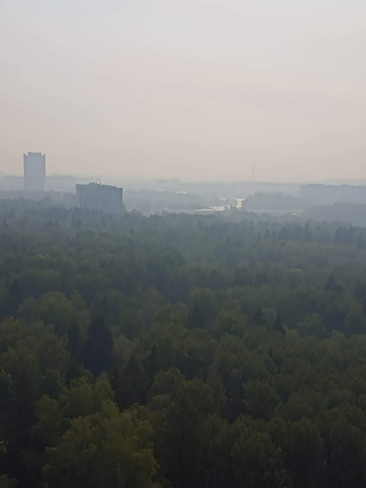 Пожары в Рязанской области и смог в Москве. Фоторепортаж