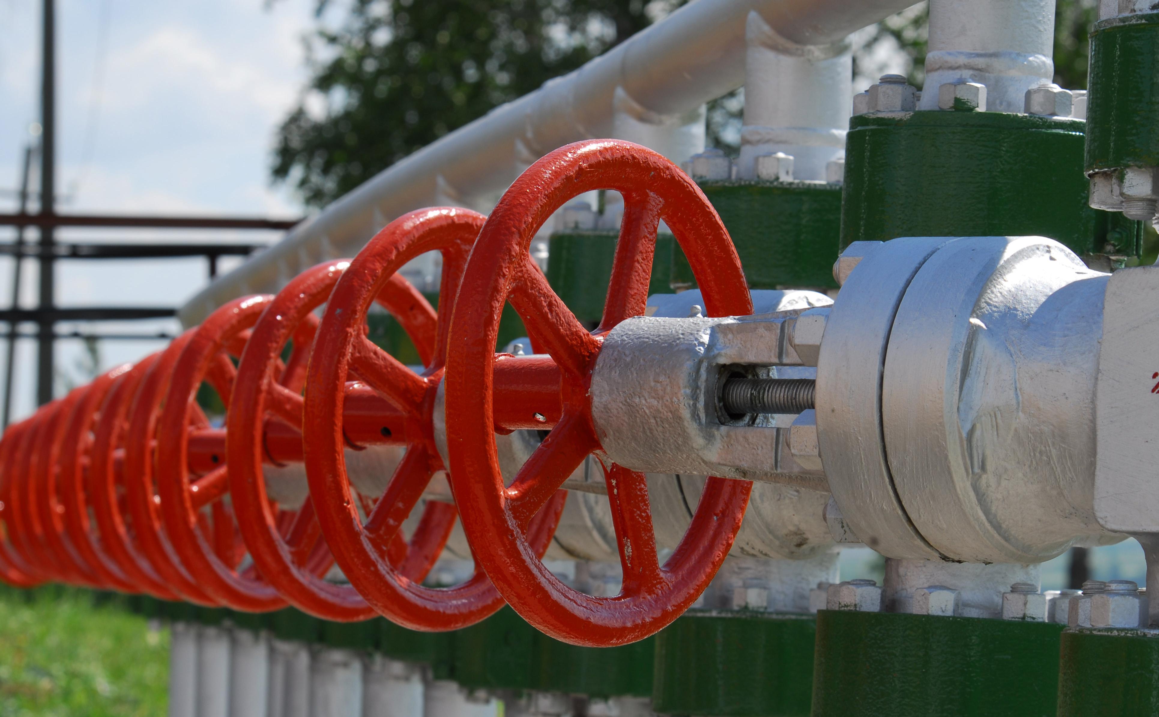  Япония в июле вернулась к импорту российской нефти 