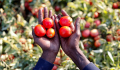  В Белгороде сработала ПВО 