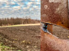  Гладков сообщил об обстреле хутора в Белгородской области 