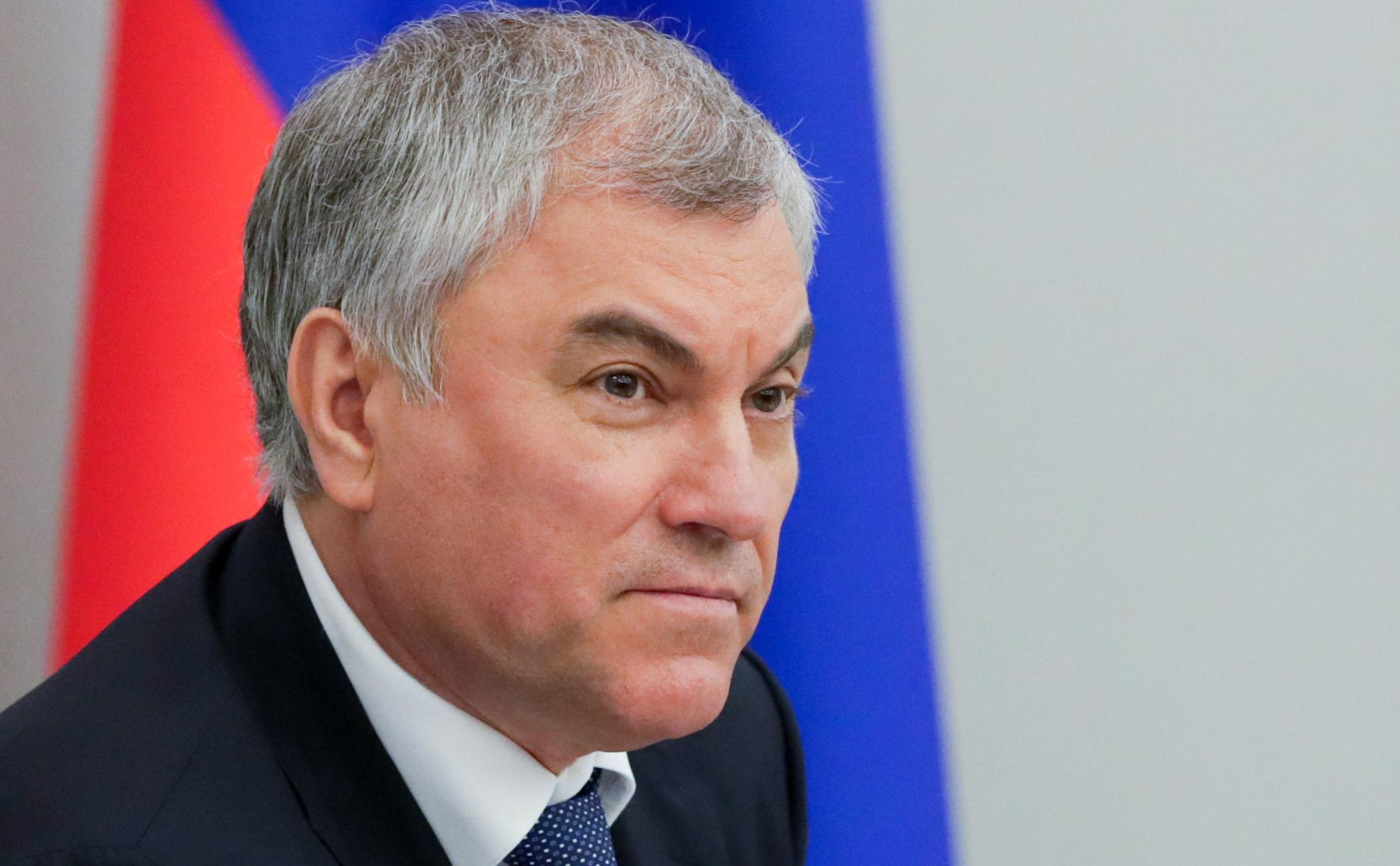 Володин назвал сроки запрета суррогатного материнства для иностранцев
