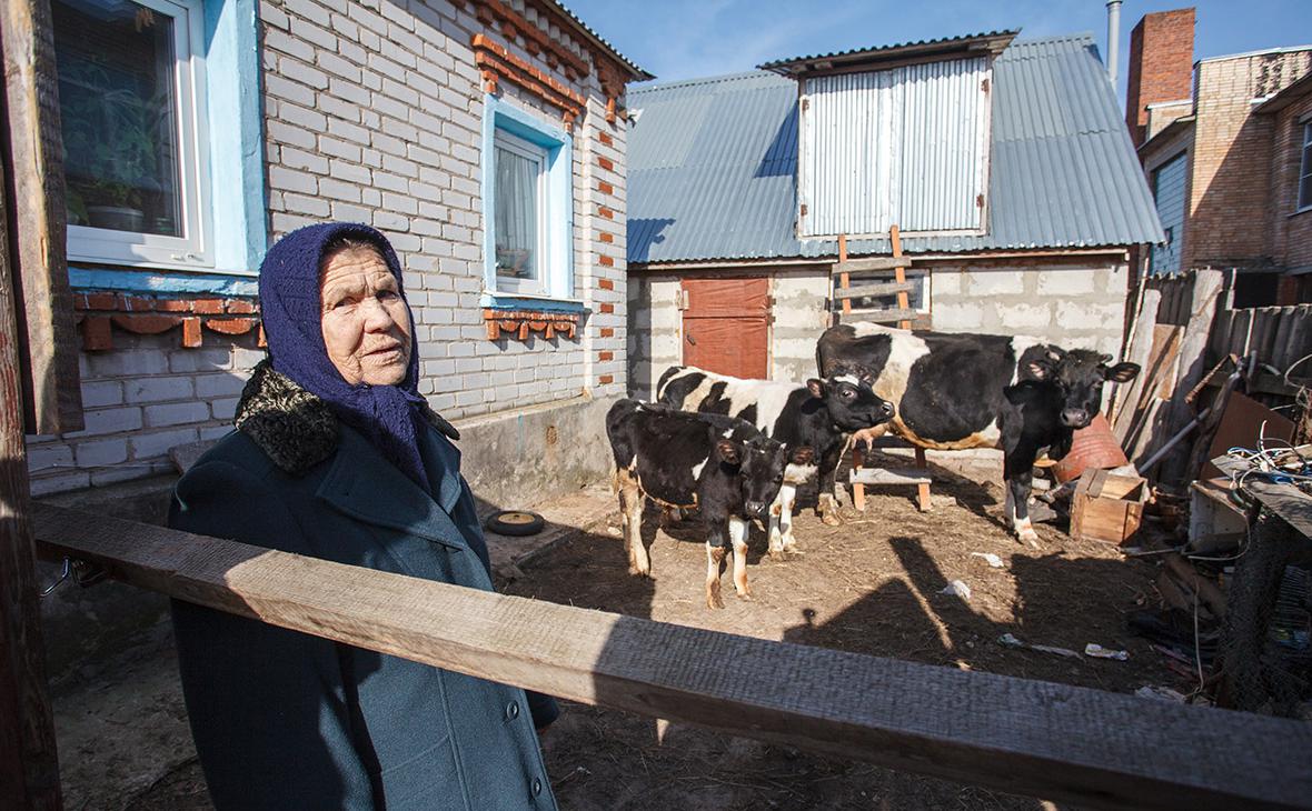  Эксперты предложили исключить говядину и яблоки из списка соцпродуктов 