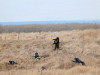  Военная операция на Украине. Онлайн 