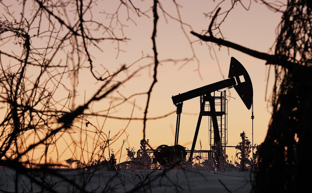 Bloomberg увидел рост роли Индии в связи с закупками нефти у России