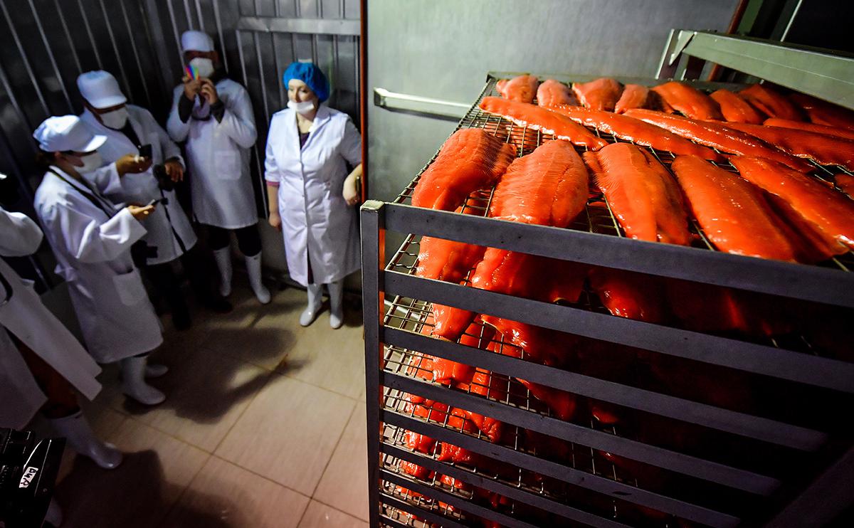Рыбаки предупредили о вреде добычи золота на Камчатке для лососей