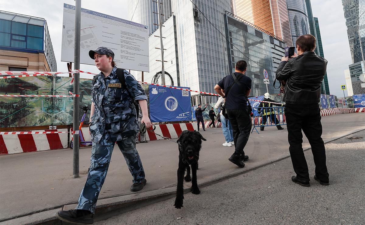 В Брянской области уничтожили украинский беспилотник
