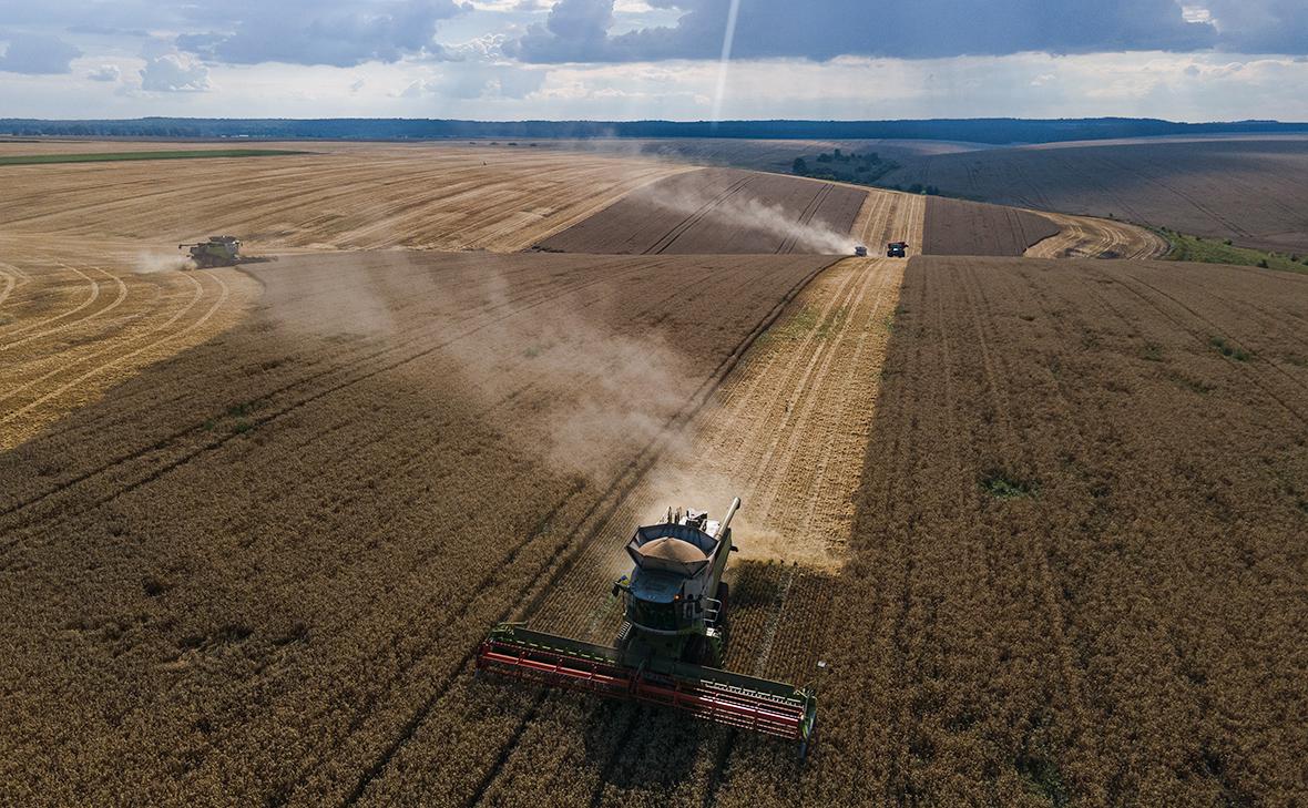 Украина договорилась с Польшей и Словакией по экспорту украинского зерна