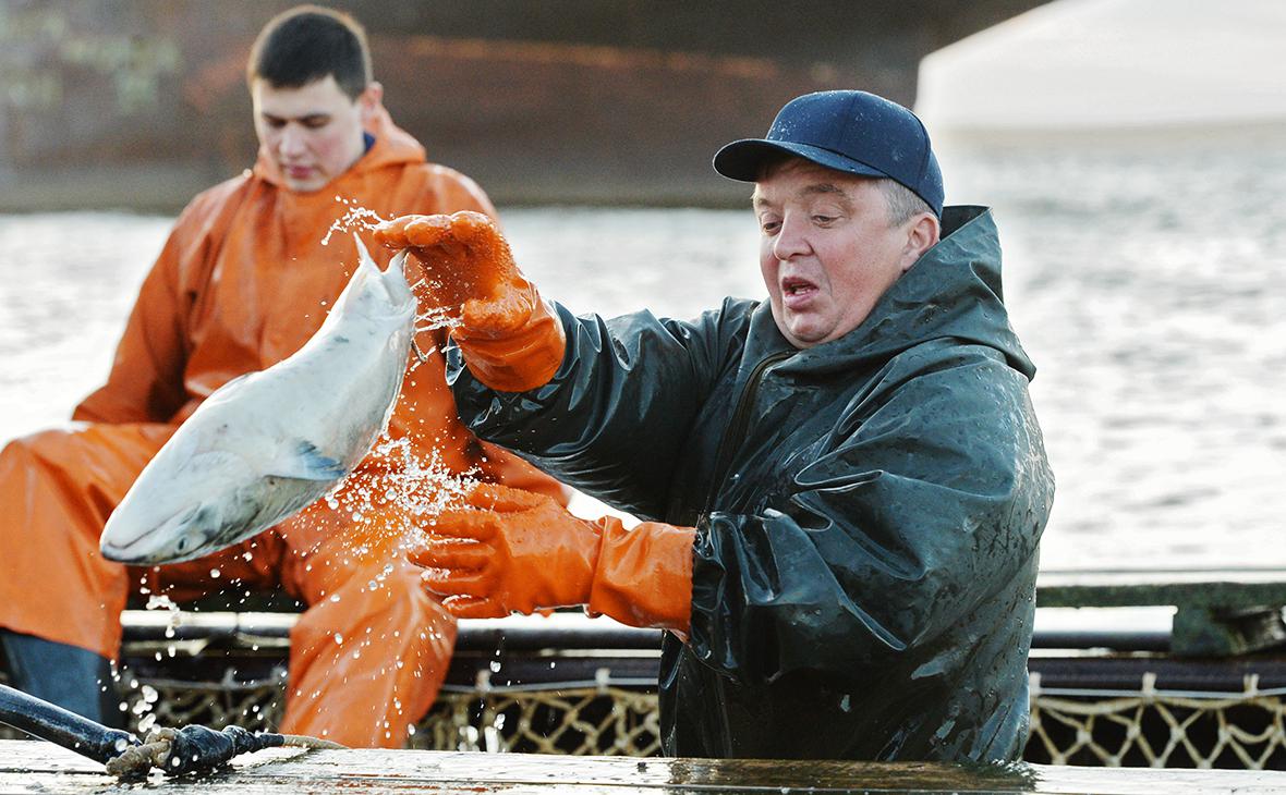 Крупнейший производитель лосося: &laquo;Инвесторы склонны к морепродуктам&raquo;