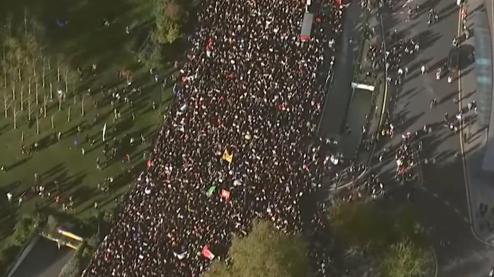 В Лондоне на акции в поддержку палестинцев арестовали более 120 человек