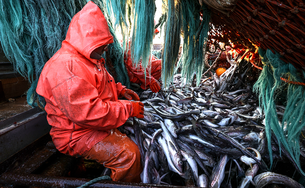 Крупнейший производитель лосося: &laquo;Инвесторы склонны к морепродуктам&raquo;