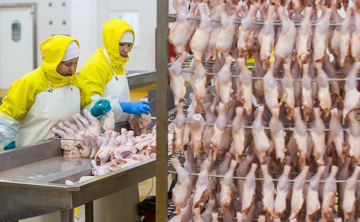 ФАС предложила сетям ограничить наценки на яйца до 5%