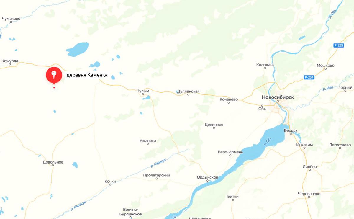 Власти возобновили расследование посадки лайнера в поле под Новосибирском
